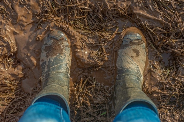 What is 'sogflation' and how is it threatening food supply chains? GettyImages/yvonnestewarthenderson