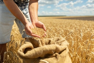 Regenerative agriculture: How manufacturers and farmers are working together. GettyImages/shcherbak volodymyr