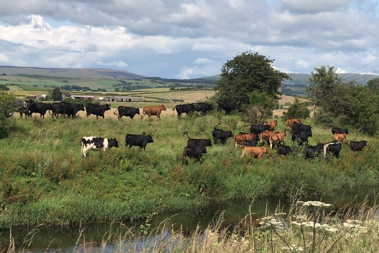 Müller to address Scottish milk surplus